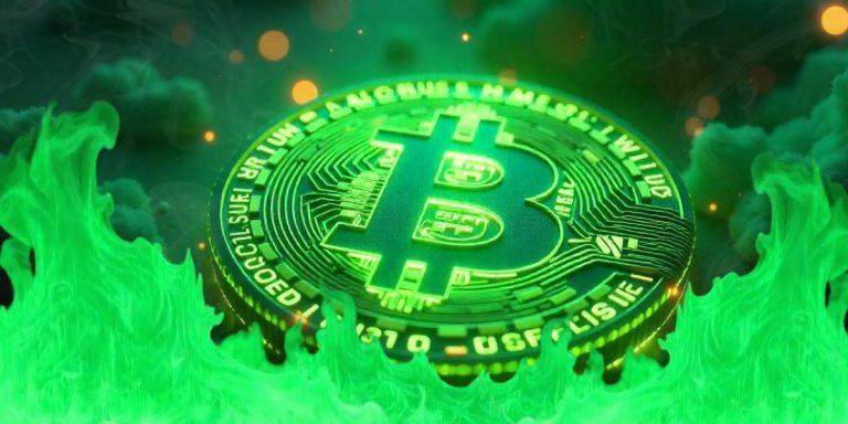 What does "Coin Burn" mean?