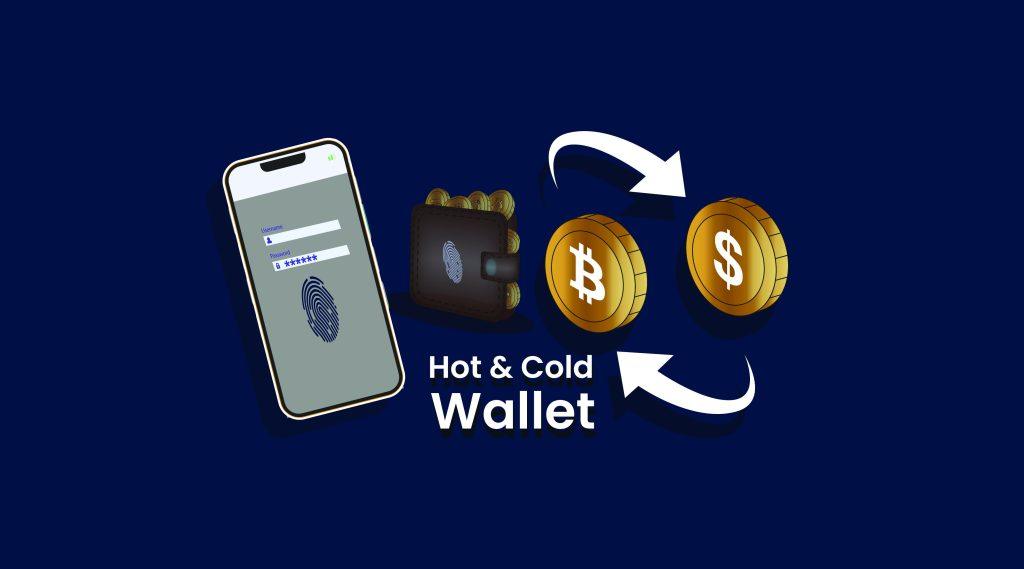 eToro wallet is one of the most solid crypto wallets on the market. 