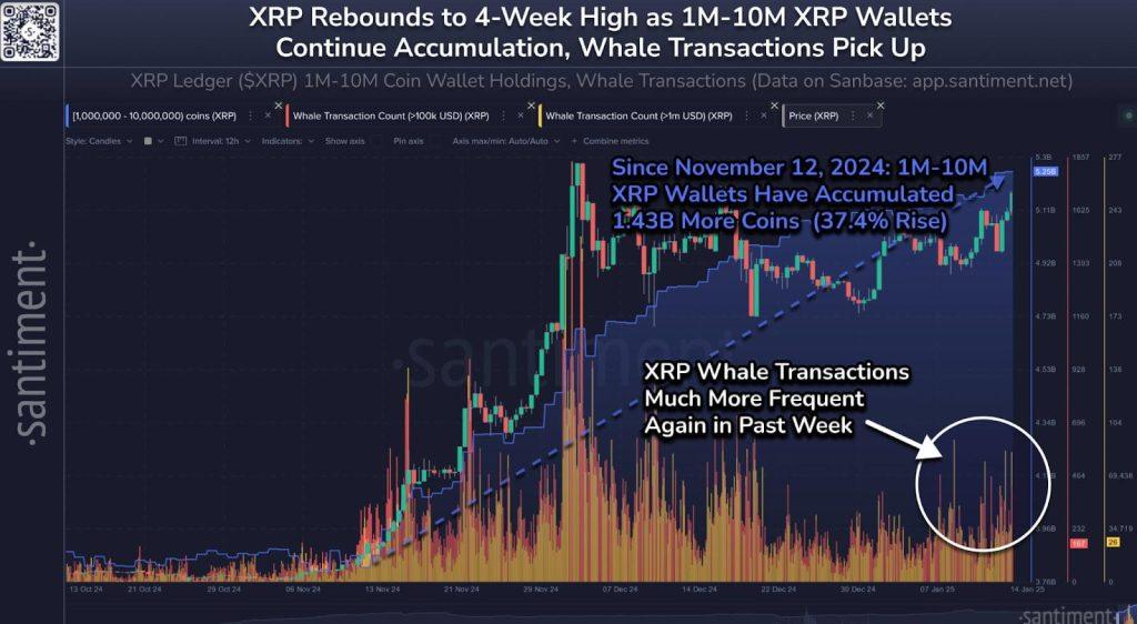 Исследование цены XRP от Santiment
